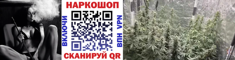 Купить закладку Кокаин  Alpha-PVP  ГАШ  АМФ  Меф мяу мяу  Бошки Шишки  Кирс