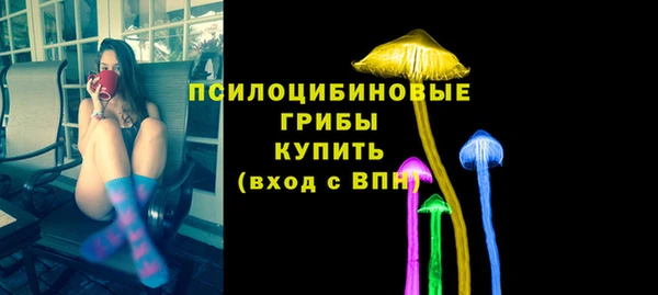 метадон Горняк