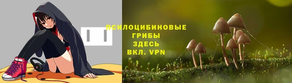 метадон Горняк