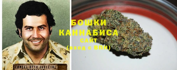 метадон Горняк
