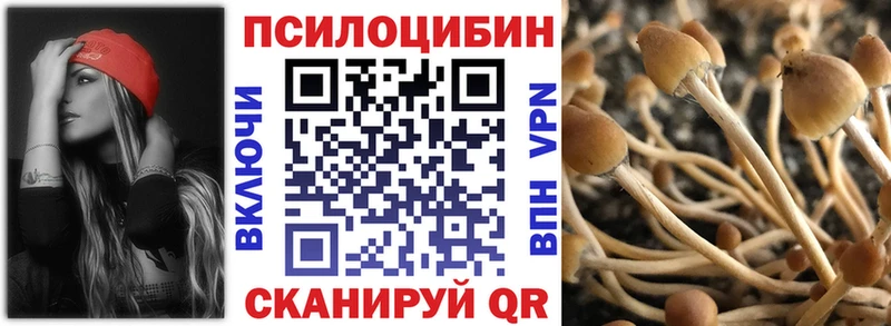 Купить где  Кирс  Псилоцибиновые грибы Magic Shrooms 